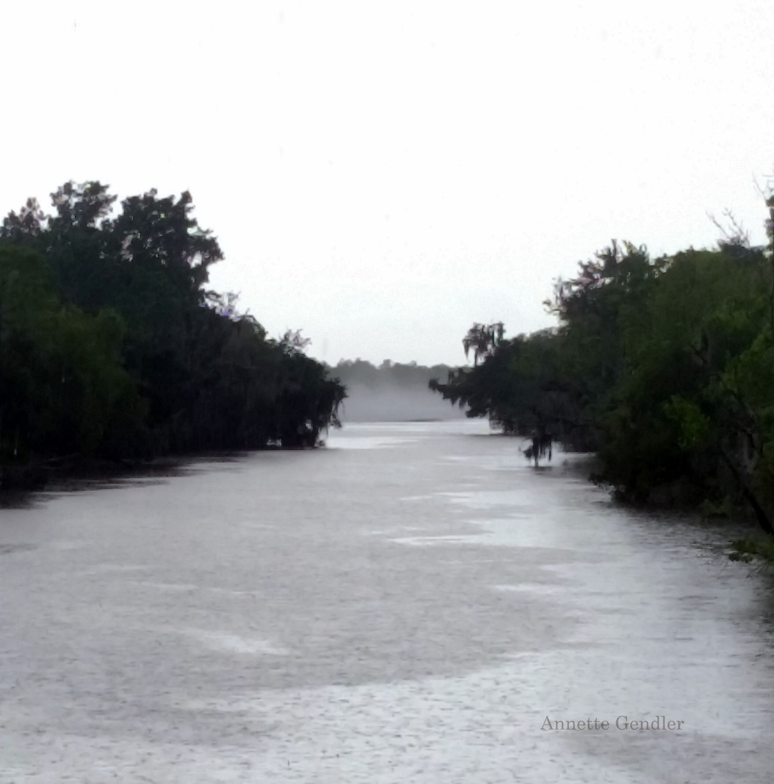 grey bayou in the rain