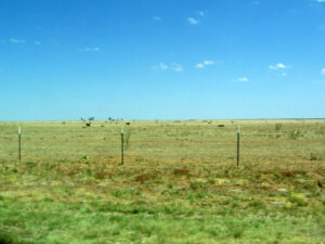 Texas panhandle flat landscape