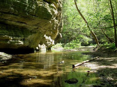 Starved Rock Illinois Canyon shallow pool and carved rock face with May green trees