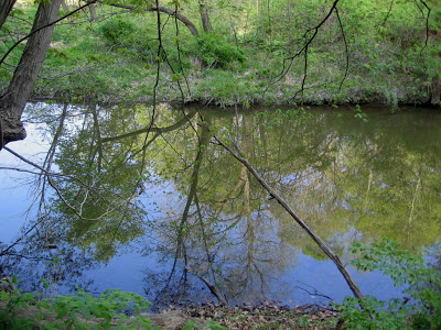 blue still river with tree reflections