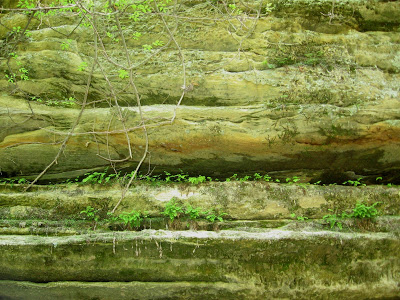Horizontal layers in yellow canyon wall with fresh green vegetation in between