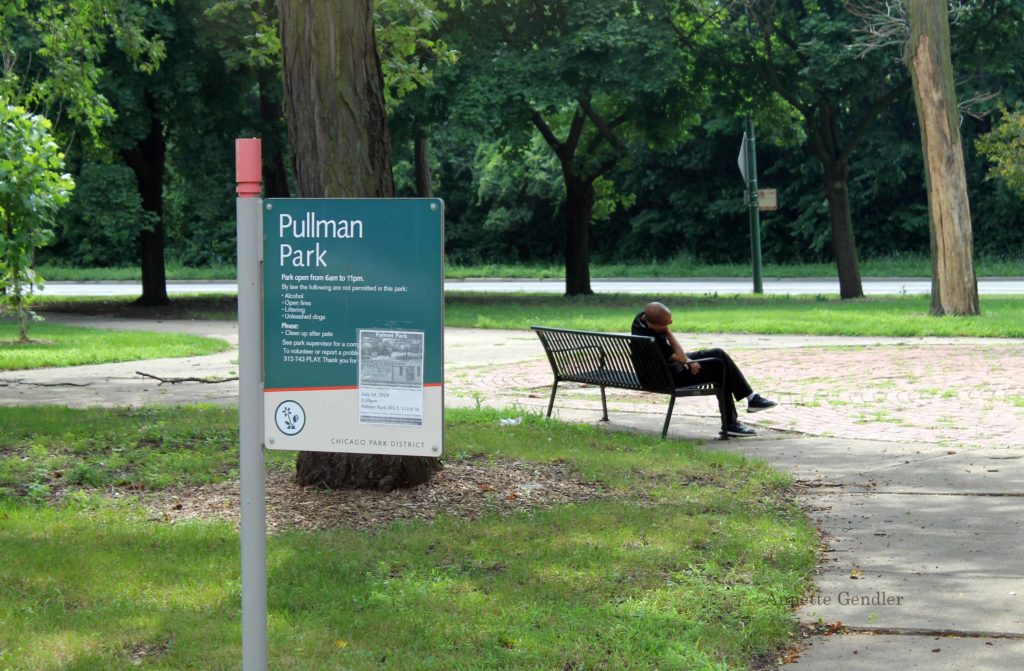 person viewed from behind, taking a nap on a park bench with lots of grass and green trees around