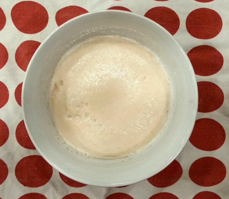 bowl with yeast pre-dough