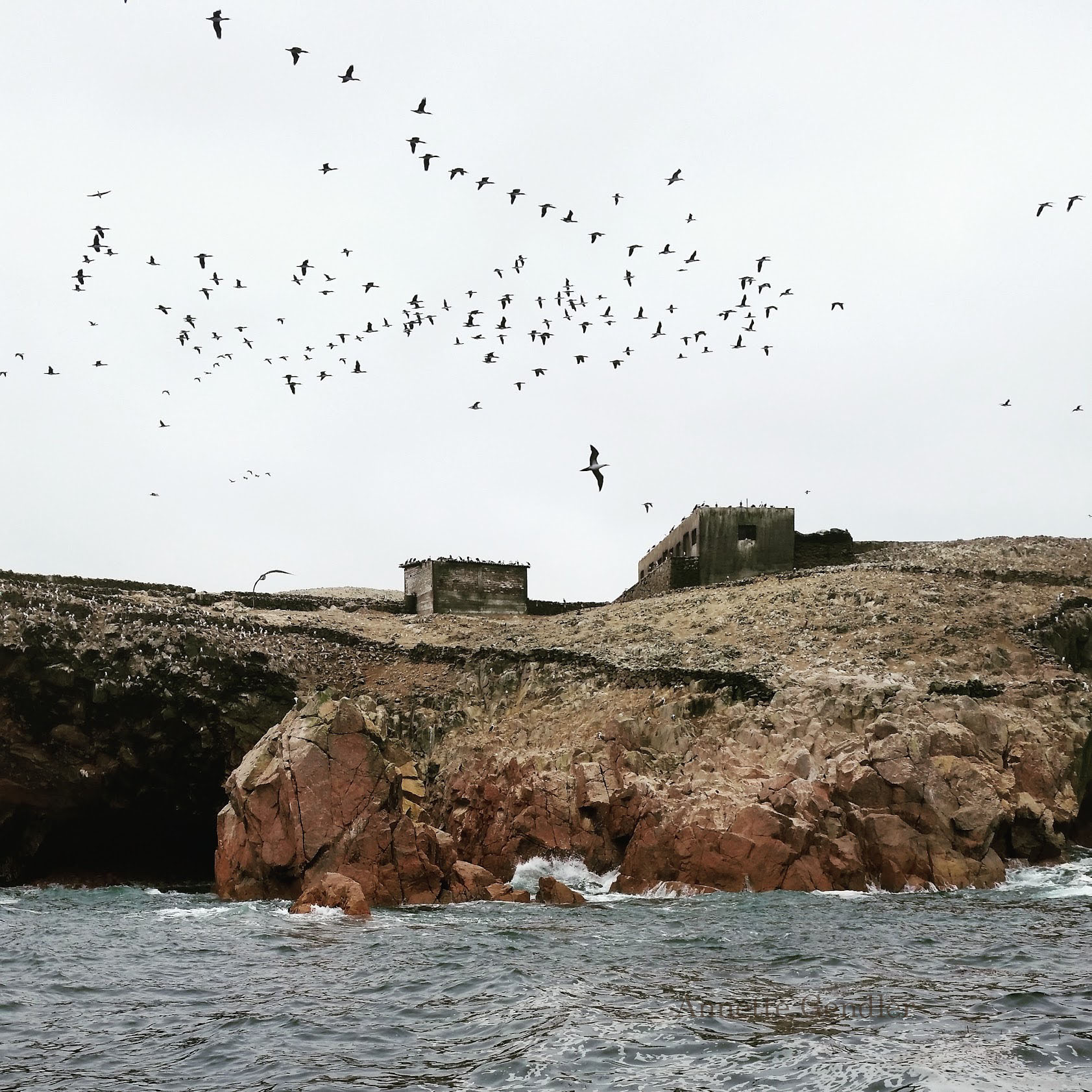 Rocky islands with two shacks on them and birds flying overhead