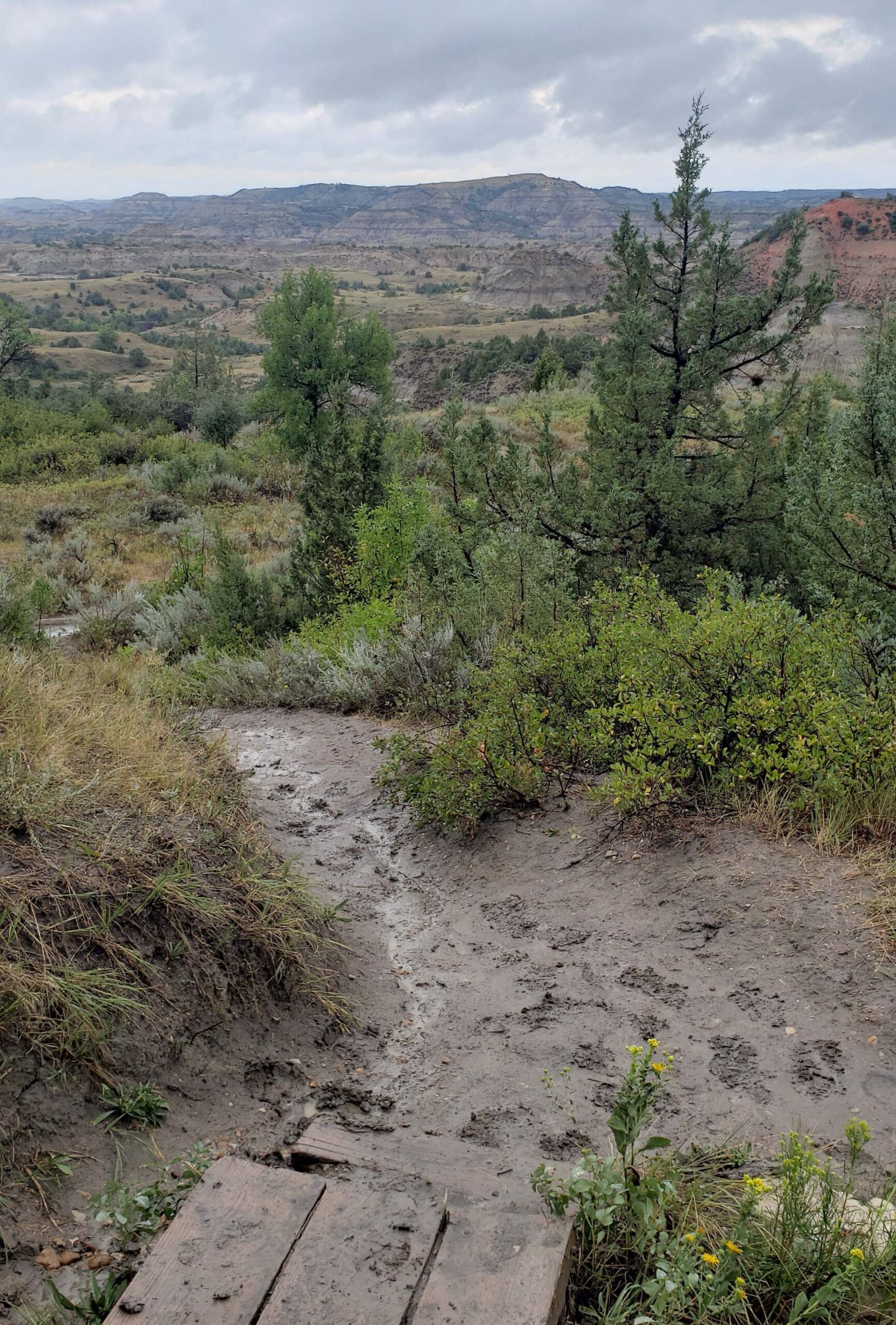 Muddy trail in Theodore Roosevelt National Park