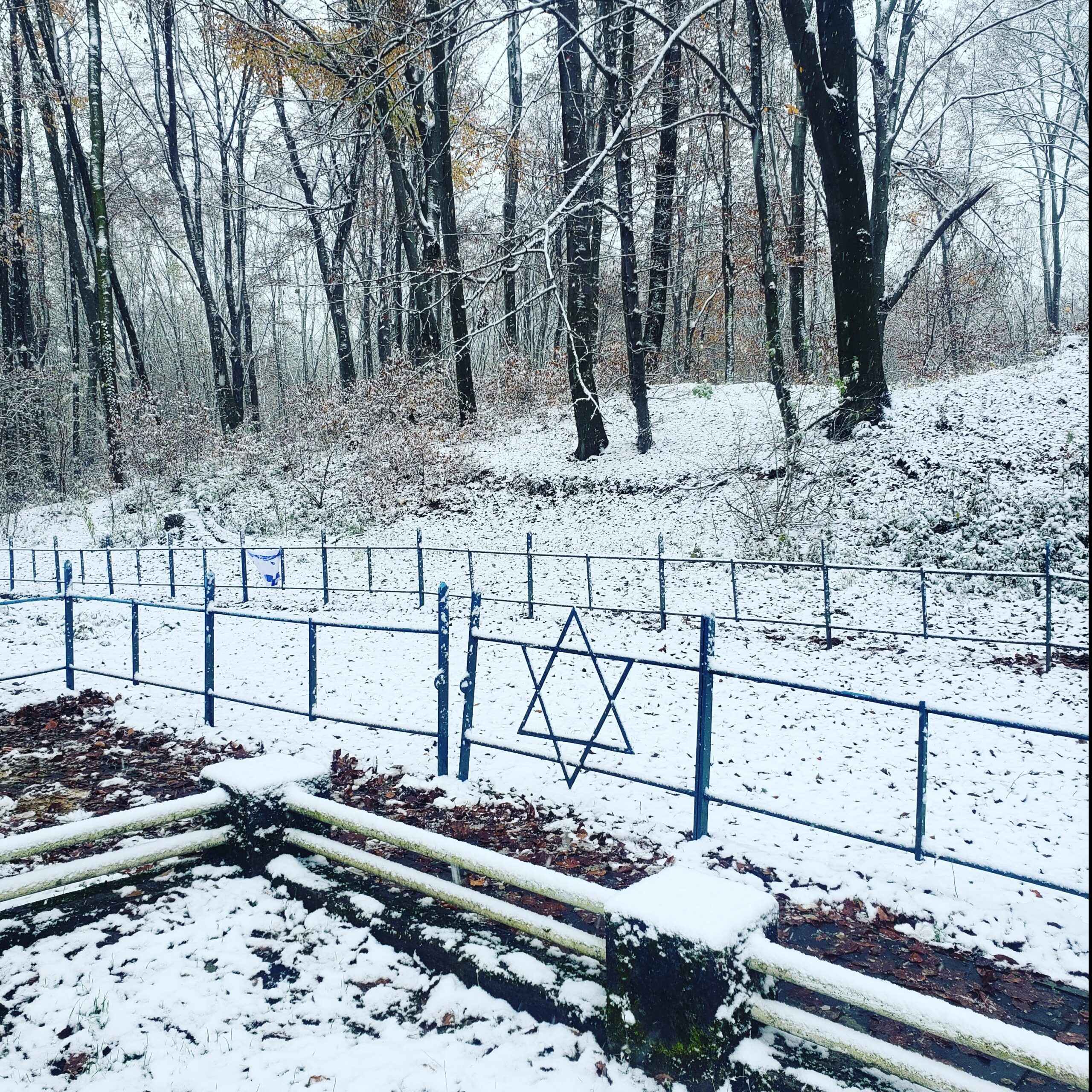 Mass grave in snowy forest marked by a blue fence and star of David