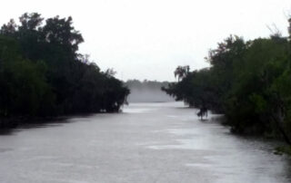 grey bayou in the rain