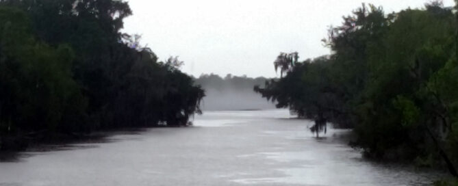 grey bayou in the rain