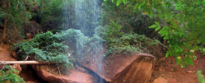 Zion National Park - thin water fall before red rock and green trees