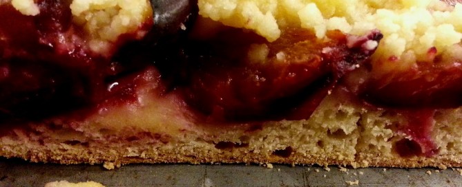 prune plum sheet cake