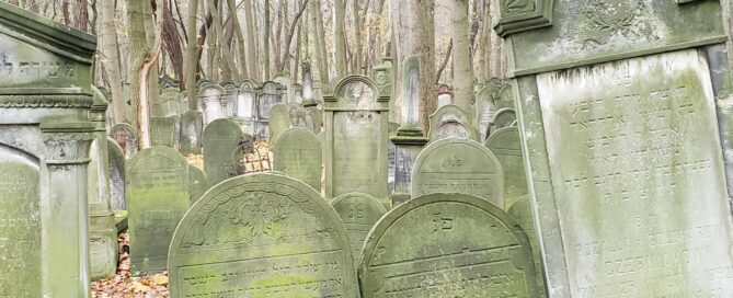 Mossy headstone amidst trees at the Warsaw Jewish Cemetery